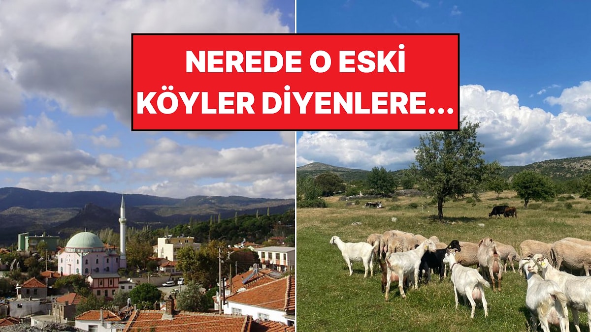 Orda Bir Köy Var Uzakta: İzmir&apos;in Eşi Benzeri Olmayan Köyü Sizi Bekliyor