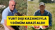 Londra'daki Kazancıyla Türkiye'de Arazi Alıp Tarıma Başlayan Türk