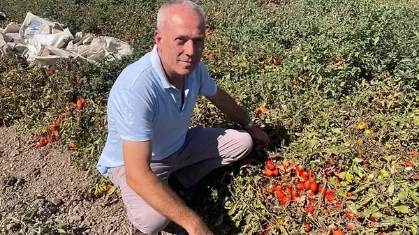 "O dönemlerde çok iyi eğitim veriliyordu. Üniversite okuma şansınız yoksa bu lise gerçekten sizi hayata, çalışma hayatına en iyi şekilde hazırlıyordu"