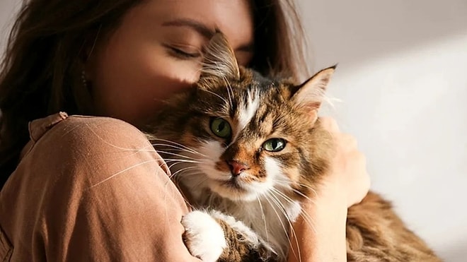 The Scientifically Proven Benefits of Petting Cats