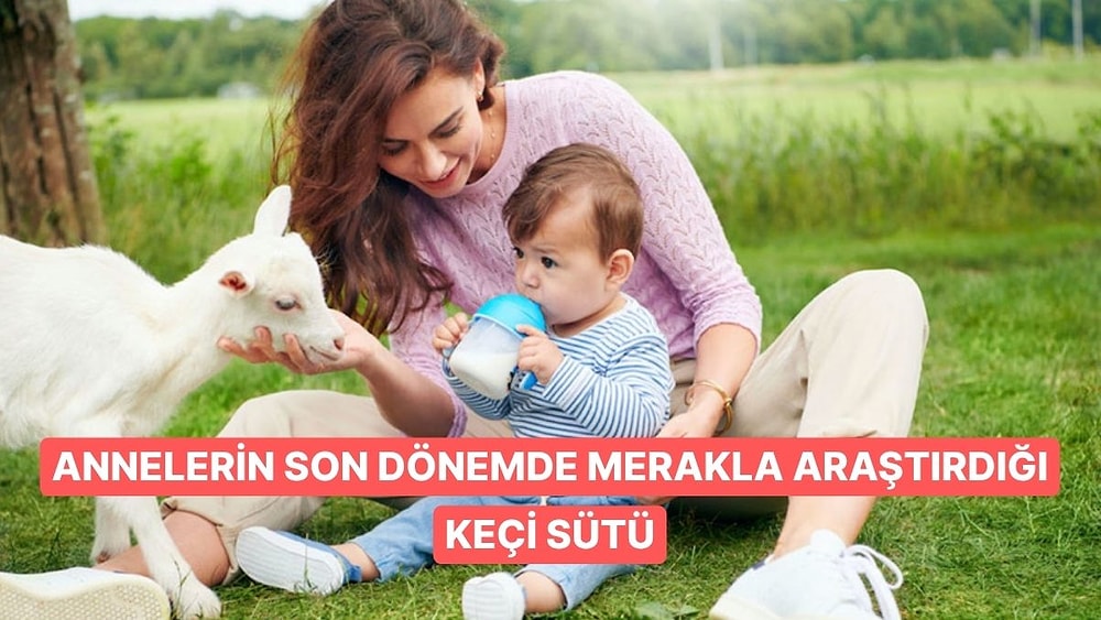 Anneler Arasında Merak Uyandıran Keçi Sütü Hakkında Bilmeniz Gerekenler