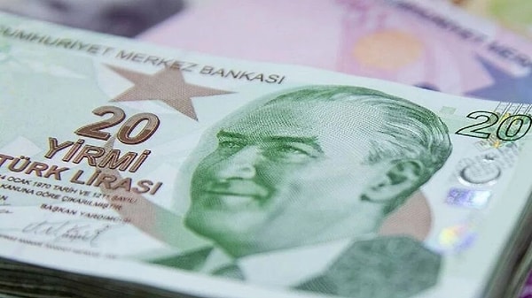 Merkez Bankası yeni 20 liraları tedavüle çıkarma kararı aldı.