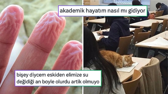 Yanlışlıkla Metrobüsü Şarj Edenden 2025’i Acı Bir Şekilde Özetleyene Son 24 Saatin Viral Tweetleri
