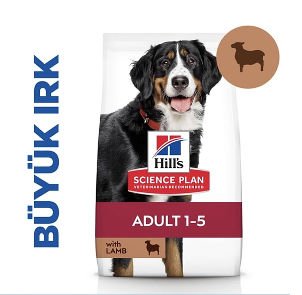 Hills Büyük Irk Kuzu Etli Yetişkin Köpek Maması