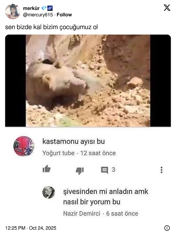 👇🏻