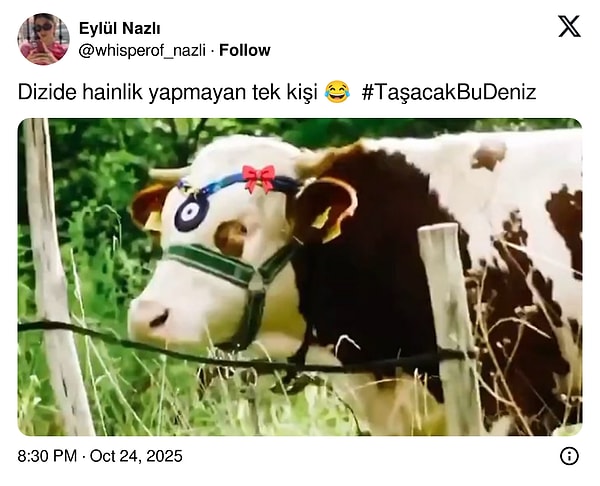 Dizi hakkındaki en haklı tespit!