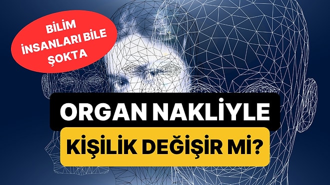 Bilim İnsanları Bile Şaşkın: Organ Nakli Yapılan Birinin Kişiliği de Değişiyor Olabilir!