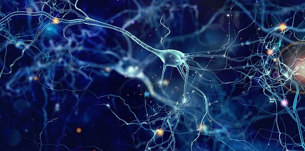 First and foremost, it's essential to understand how exercise contributes to the formation of new brain cells.