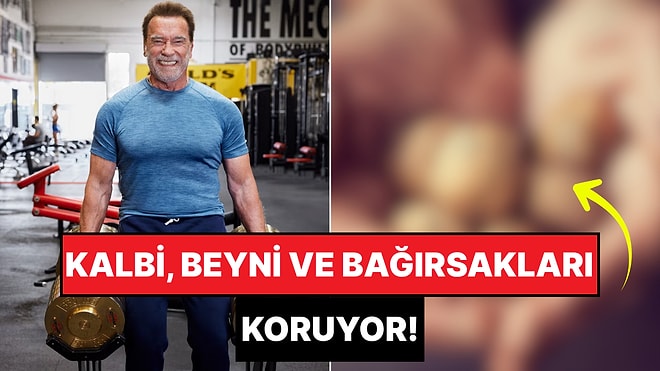 Fındık, Fıstık Yanında Halt Etmiş: Ömrümüzü Uzatan En Faydalı Kuruyemiş Belli Oldu