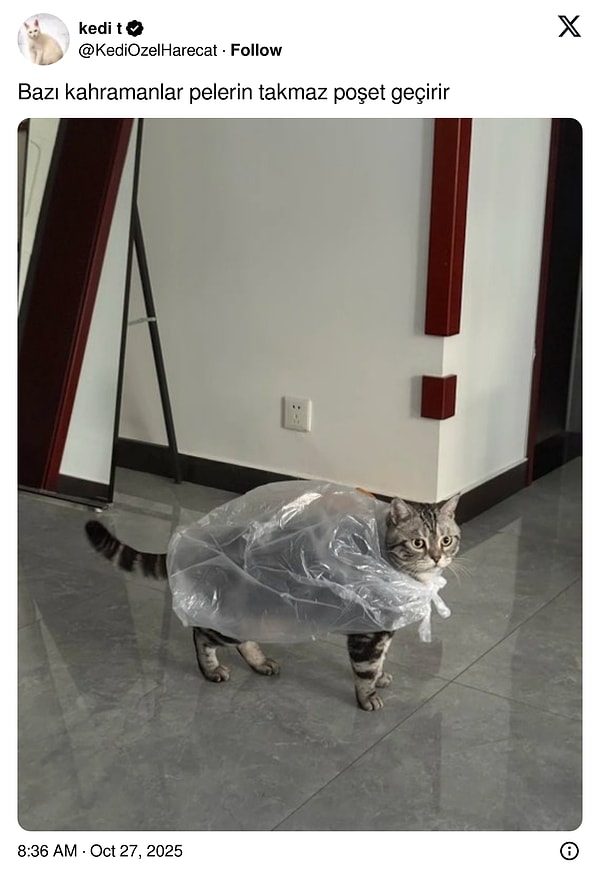 O nasıl oldu?