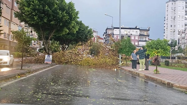 Birçok bölgede ağaçların devrildiği ya da büyük dal parçalarının yollara düştüğü görüldü.