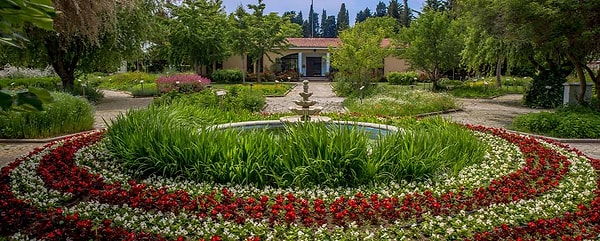 İstanbul’un merkezinde, şehir gürültüsünün tam ortasında sessizce nefes alan bir vaha var: Zeytinburnu Tıbbi Bitkiler Bahçesi.