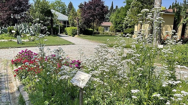 Yaklaşık 14 dönümlük bir arazi üzerine kurulu olan bahçe, İstanbul’un en yeşil köşelerinden birine ev sahipliği yapıyor.