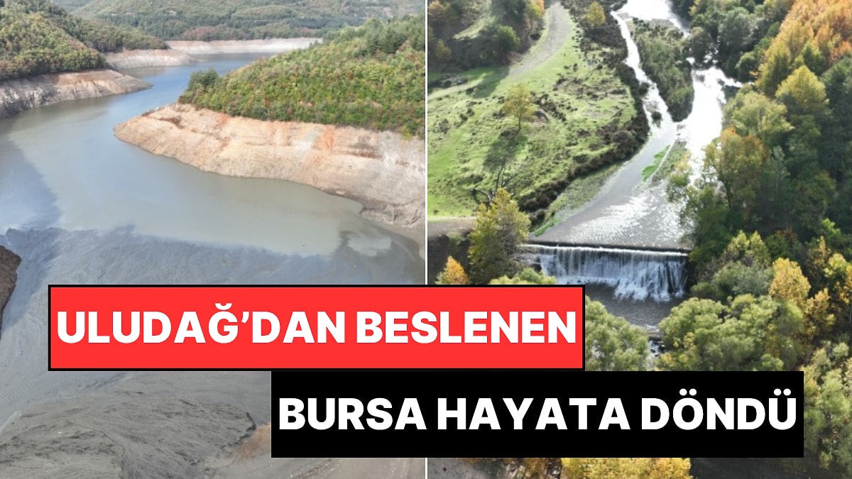 Bursa Doğa Ana Yaralarını Sardı: Kuruyan Dereler Yağmurla Yeniden Hayat Buldu