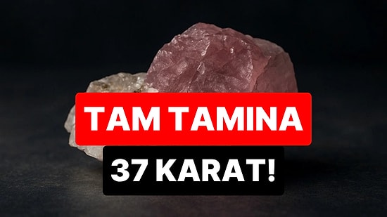 Bir Yüzü Pembe, Bir Yüzü Renksiz: Dünyanın En Nadir Elması Bulundu! Değerine Paha Biçilemiyor