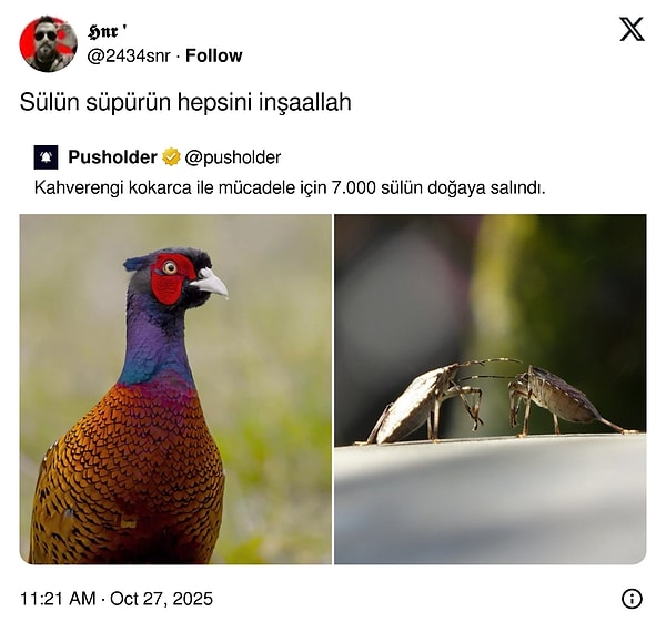 Gazanız mübarek olsun