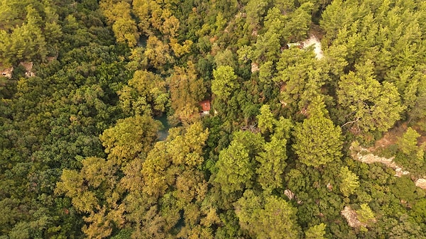 Kenan Evren ünlü bir sanatçıyla gelmiş!