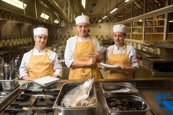 Sürdürülebilirlik Odaklı Eğitim