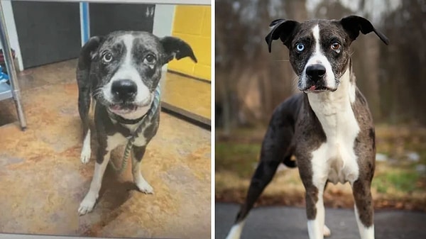 5. İlk fotoğraftaki o hüzünlü bakış her şeyi açıklar nitelikte 🥲