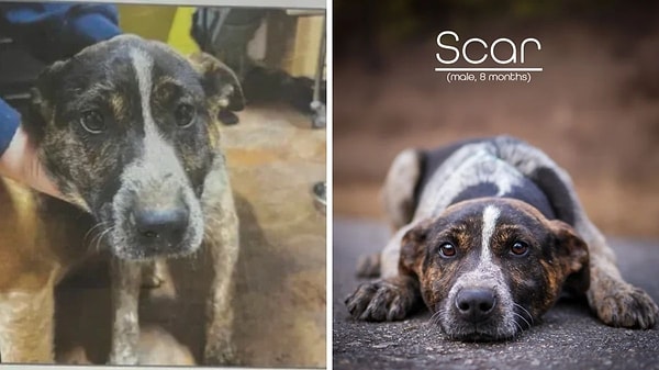 9. İçimizi en çok eriten değişimlerden biri de bu oldu.