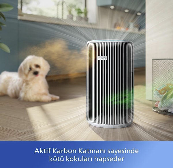 Bu hava temizleyici, geniş bir alan için bile güçlü bir çözüm sunuyor.