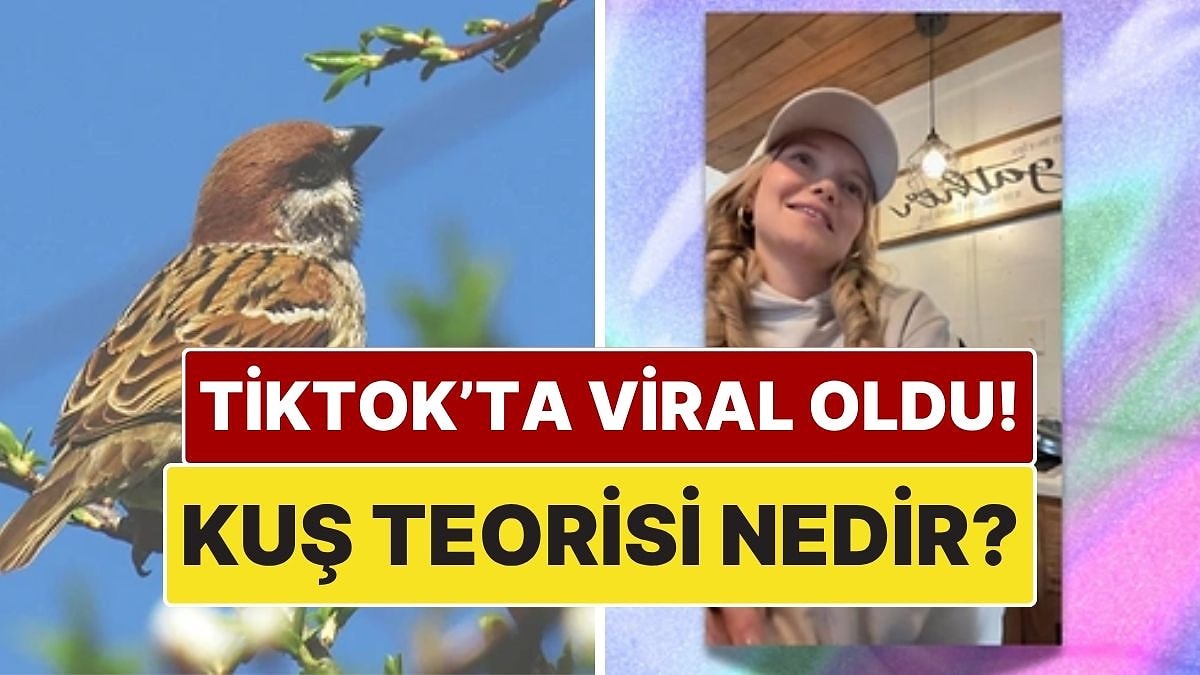 Herkes Bunu Konuşuyor: TikTok&apos;ta Viral Olan &quot;Kuş Teorisi&quot; Nedir?