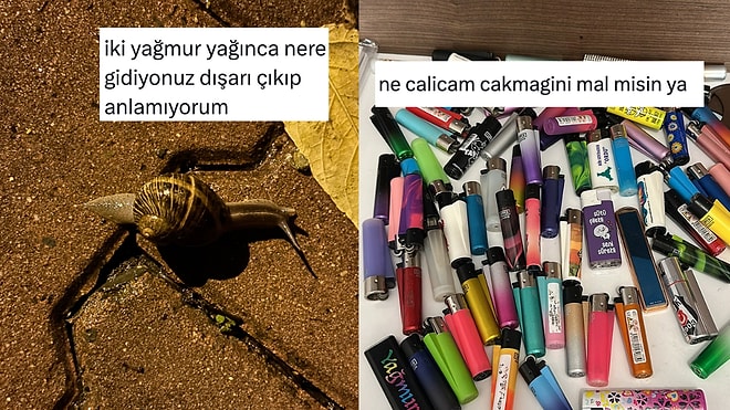 Salyangozlara Sorulacak Sorulardan Çakmak Hacılayan Arkadaşa Son 24 Saatin Viral Tweetleri