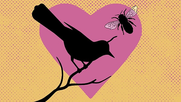 Let's kick things off with this question: What exactly is the bird theory and how did it come into being? 👀