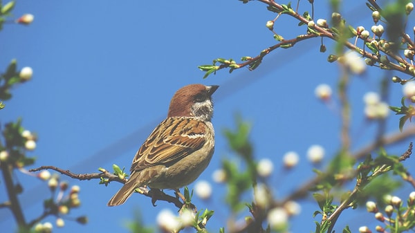 Users are reporting sightings of birds to their partners and documenting their reactions.