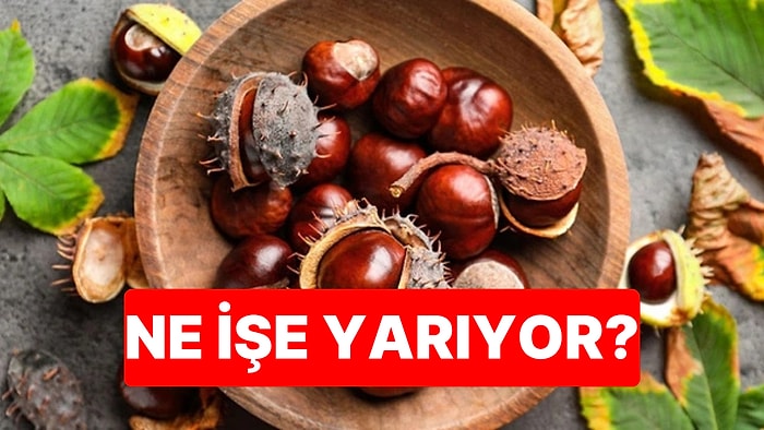 Ukraynalıların Yüzyıllardır Sürdürdüğü Gelenek Ortaya Çıktı: Sonbaharda Dolaplara Kestane Koymalarının Nedeni