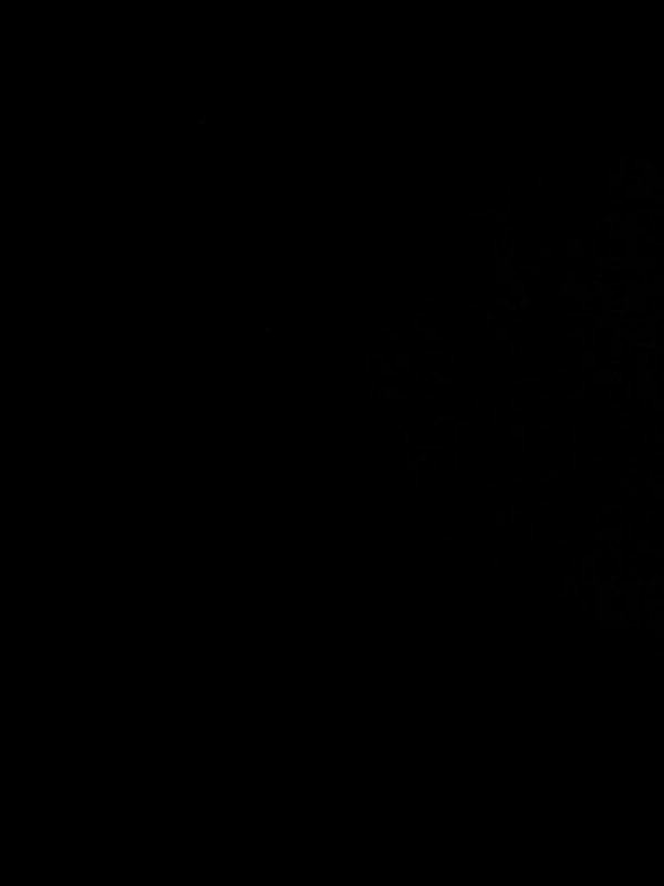 Hasan Hüseyin Dilek