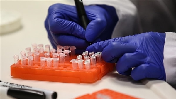 M Çiçeği Virüsü Nedir?