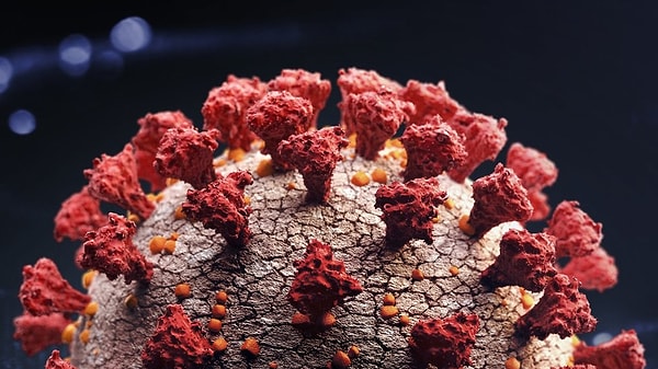 An alarming statement has been issued by the World Health Organization that is causing global concern. The M Flower virus has started to spread across the world.