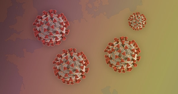 3,135 cases, 12 fatalities.