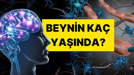 Bu 5 Sorudan En Az 3’üne “Evet” Diyorsanız Beyniniz Oldukça Yaşlı