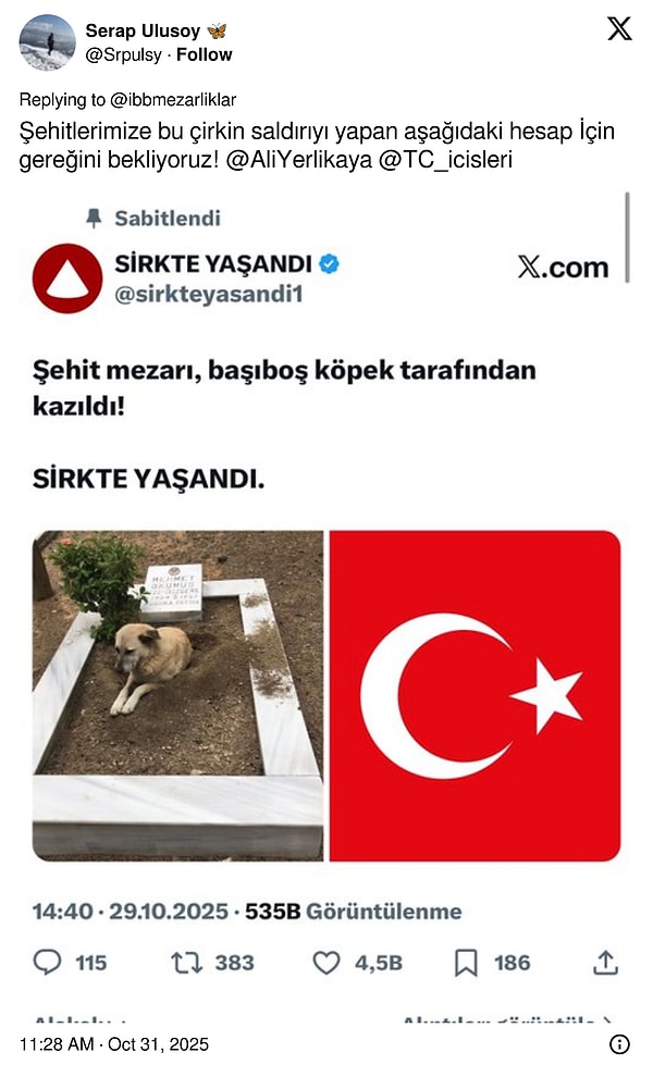 Sokak köpeğinin şehit mezarını kazdığı iddiası sosyal medyayı ayağa kaldırdı. Görüntülerin gerçek olmadığı ortaya çıktı.