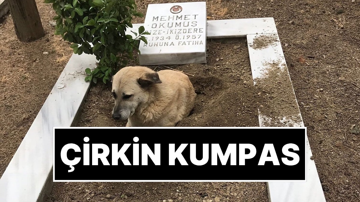 Şehit Mezarına Çirkin Kumpas: Yapay Zekayla Yaptıkları Fotoğrafı Paylaştılar
