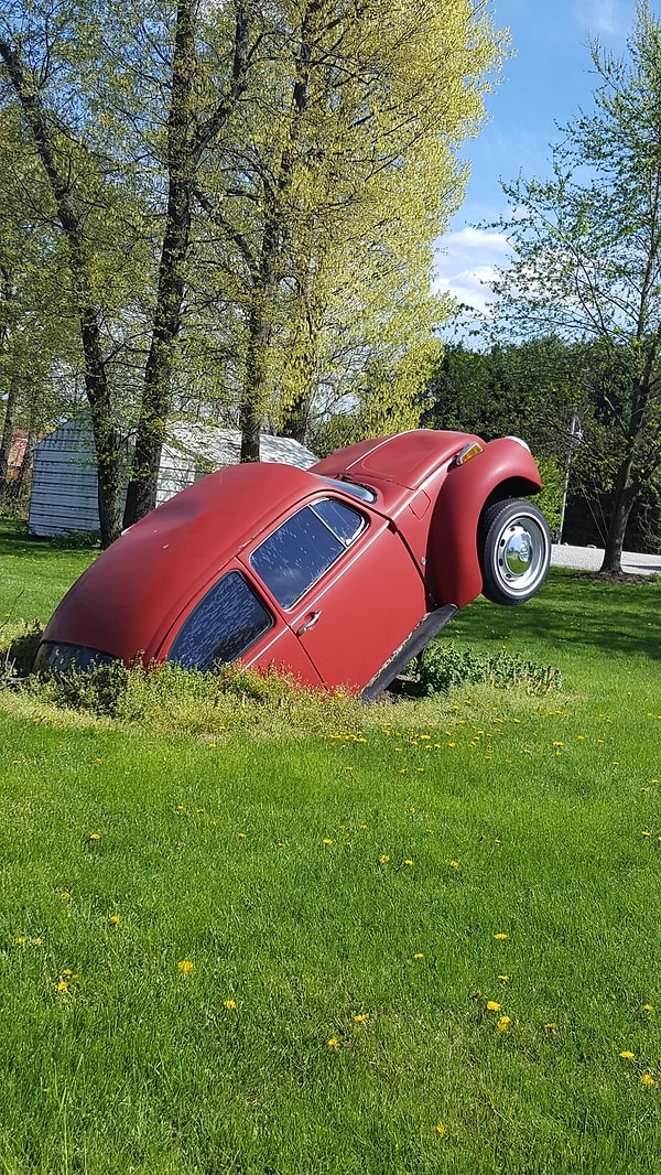 1. Ne istediniz Vosvos'tan!