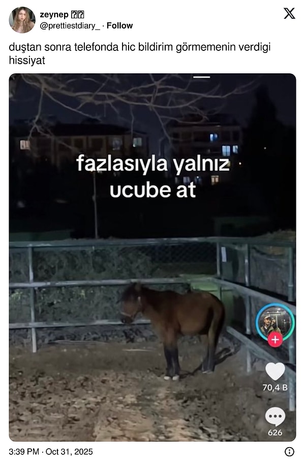 Hazırsan başlayalım 🚀