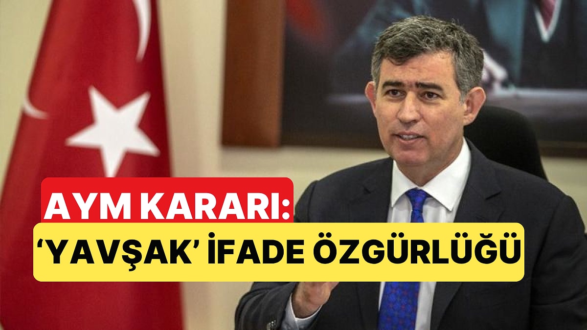 Anayasa Mahkemesi, Metin Feyzioğlu&apos;na Yavşak Diyen Avukatın Cezalandırılmasına &quot;İhlal&quot; Dedi
