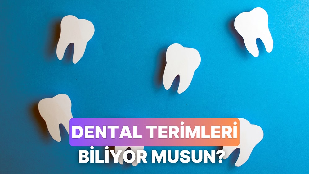 Dental Terimlerin Anlamlarını Bulabilecek misin?