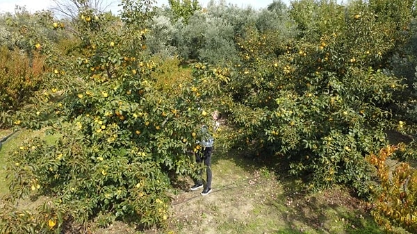 İki katı kazanç elde etmeye başladı.