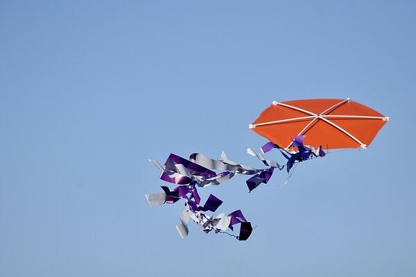 5. Sosyal medyada ne paylaşmayı seversin?