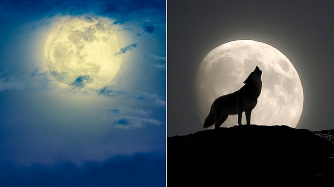 The Beaver Full Moon is Coming: We Will See the Largest Supermoon in the Last 6 Years!
