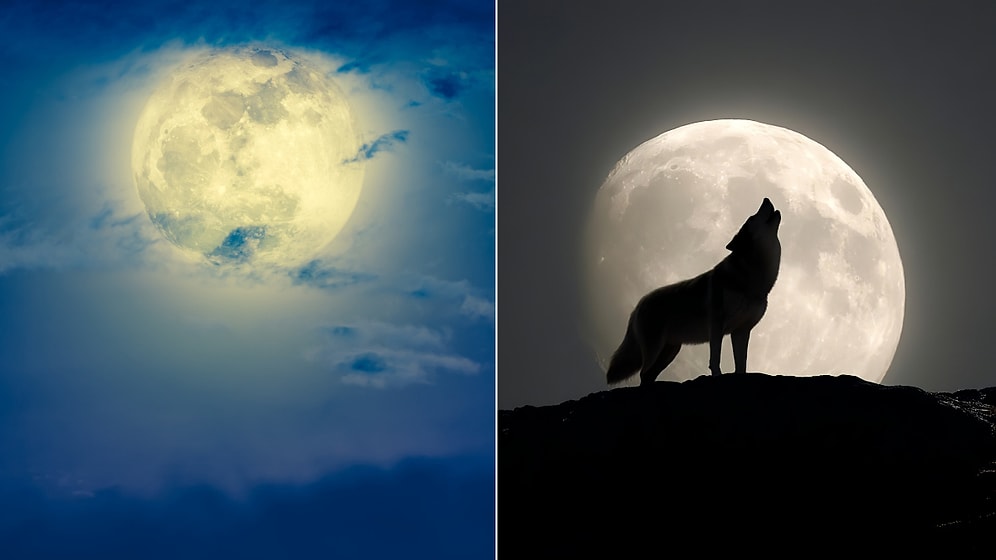 The Beaver Full Moon is Coming: We Will See the Largest Supermoon in the Last 6 Years!