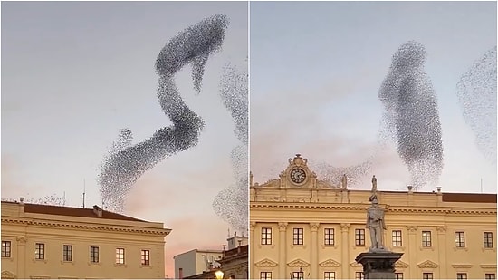 You'll Be Hypnotized Watching Migrating Flock of Birds Dance in the Sky in Italy