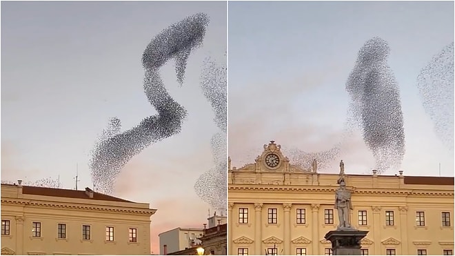 You'll Be Hypnotized Watching Migrating Flock of Birds Dance in the Sky in Italy