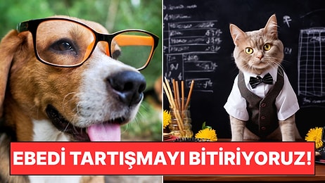 Yılların Tartışmasına Son Noktayı Koyuyoruz: Kediler mi, Köpekler mi Daha Zeki?