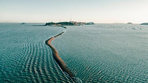 The festival is held annually between the months of March and June, providing visitors with a four-day opportunity to witness this natural phenomenon.