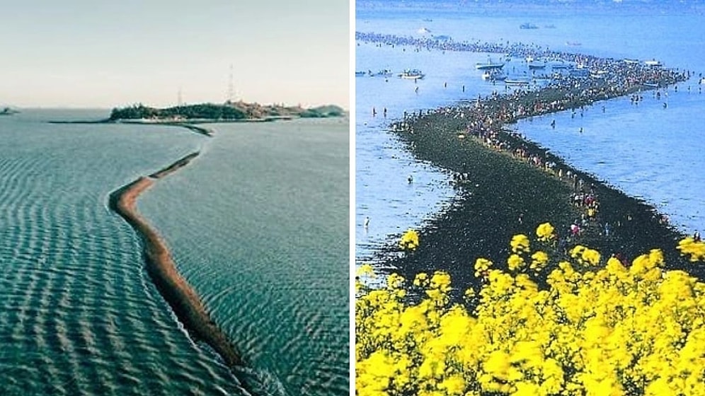 Truly Miraculous: South Korea's Sea Crack That Opens Only Twice a Year!